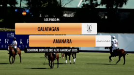 Captura de pantalla 2025-08-27 a las 1.30.21 p. m.